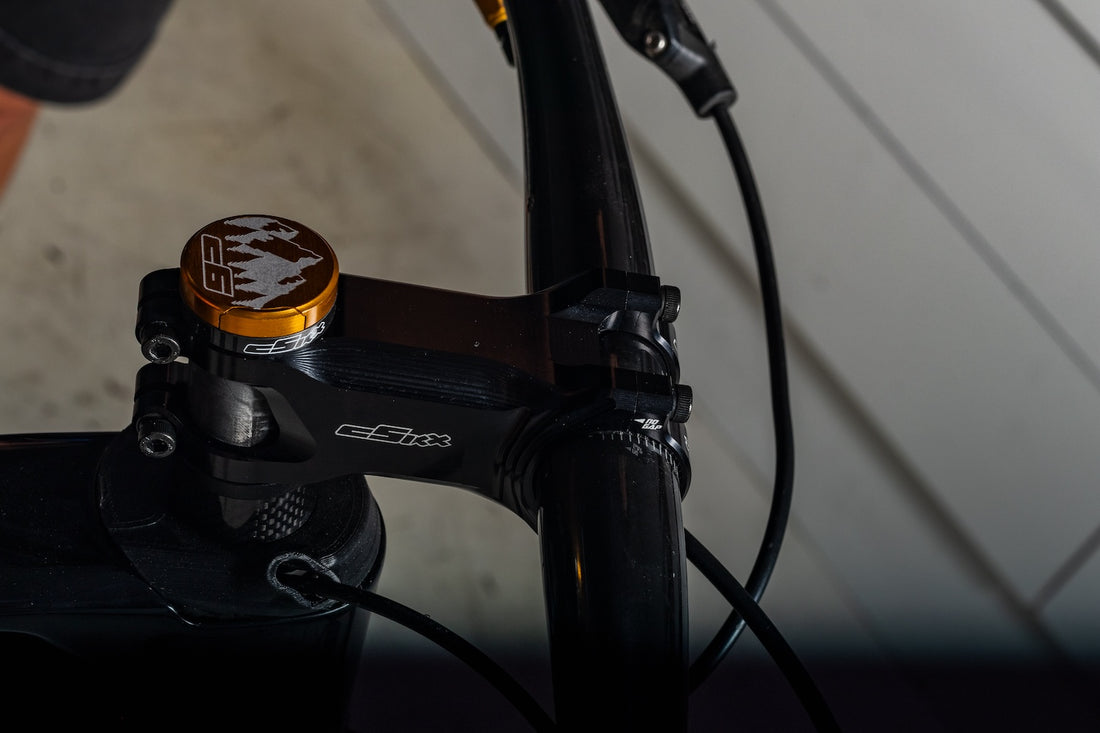 INTRODUCING OUR NEW STEM