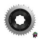 E-Ring - TQ